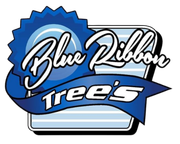 Blue Ribbon Tree's logo: Blue and white text on a badge with a blue ribbon, against a blue-lined background.