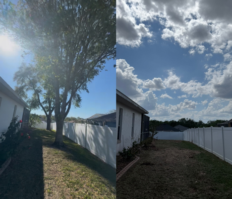 Two side-by-side images of a backyard with a white fence, grass, trees, and a partly cloudy sky.