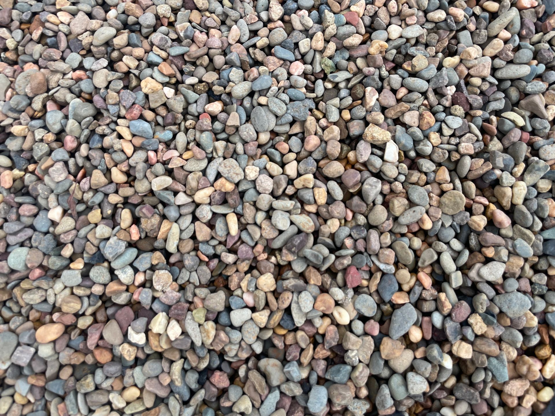 Sawdust Pile — Campvale, NSW — Campvale Landscape Supplies