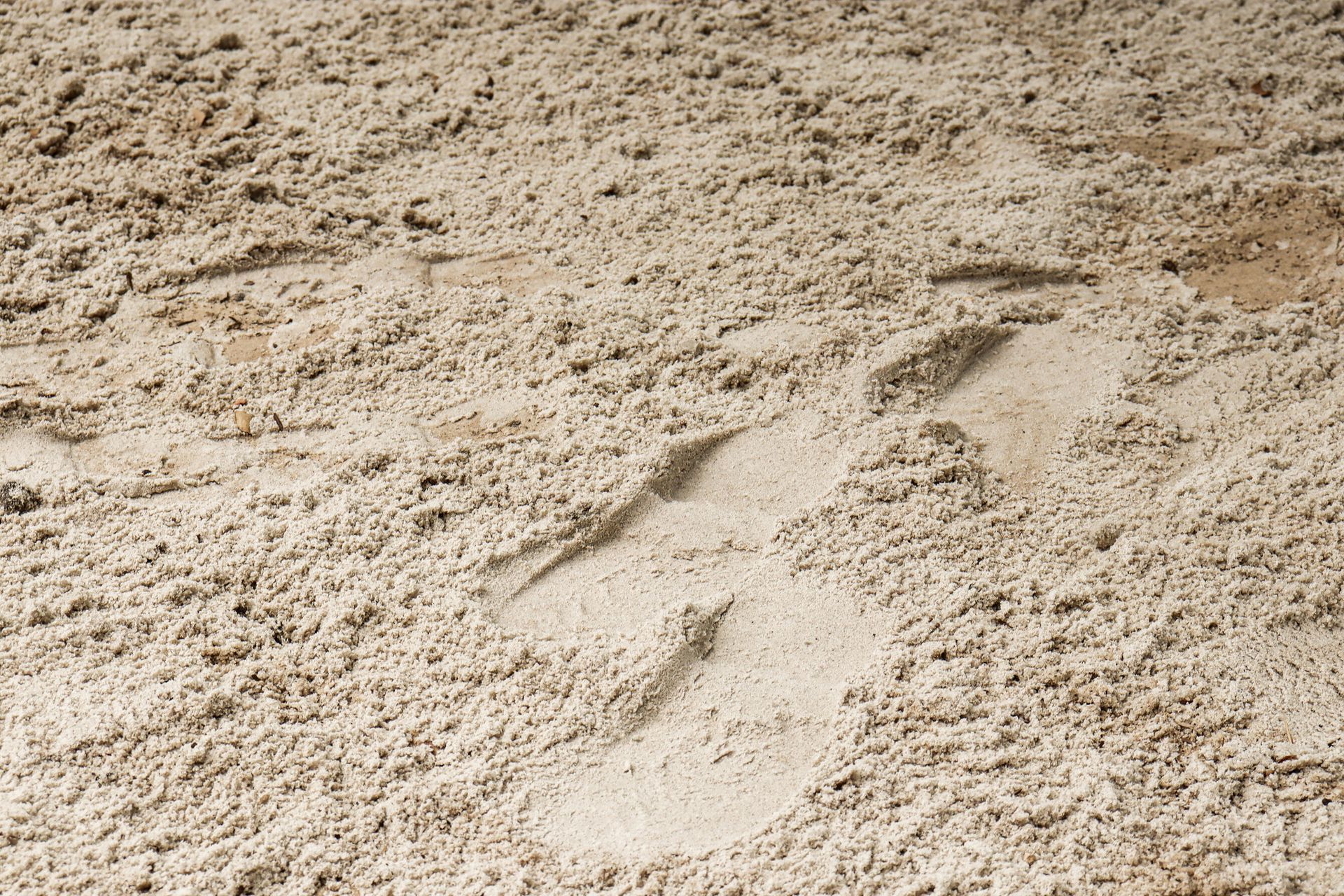 Washed Beach Sand — Campvale, NSW — Campvale Landscape Supplies
