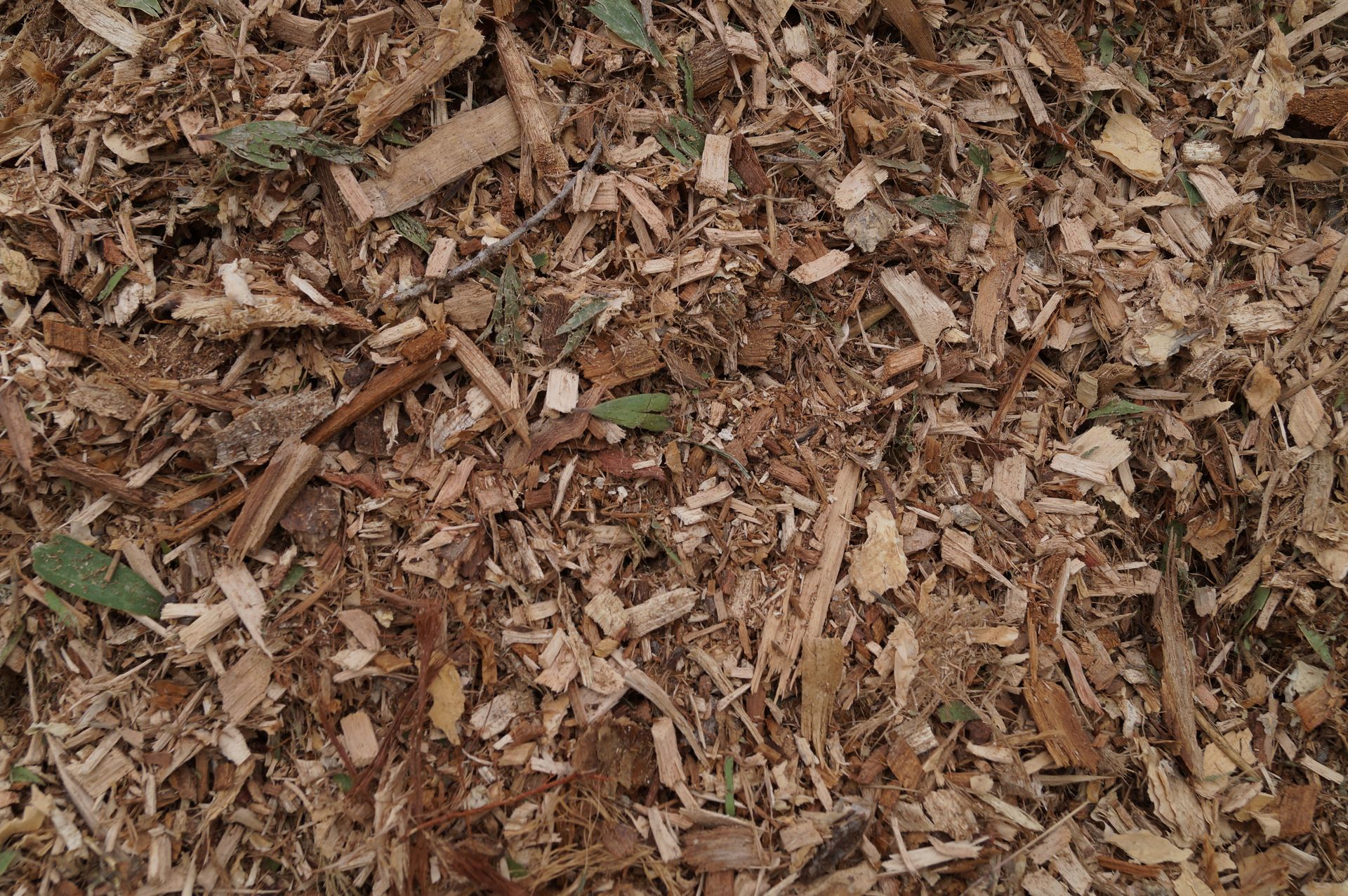 Forest Mulch — Campvale, NSW — Campvale Landscape Supplies