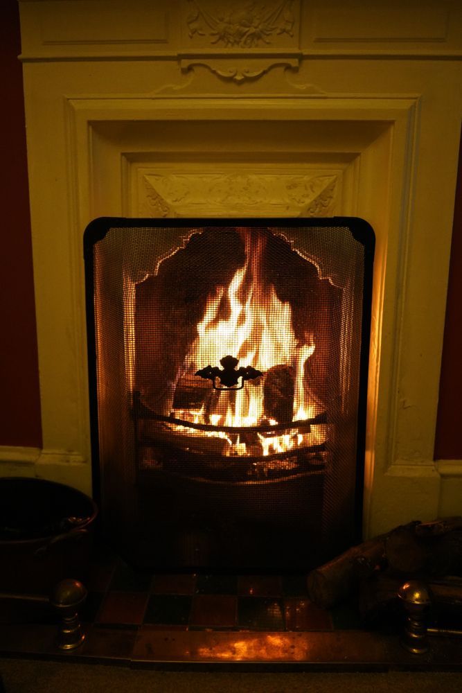 A Fireplace with A Fire in It and A Screen Behind It — Mid Coast Mowers In Taree, NSW