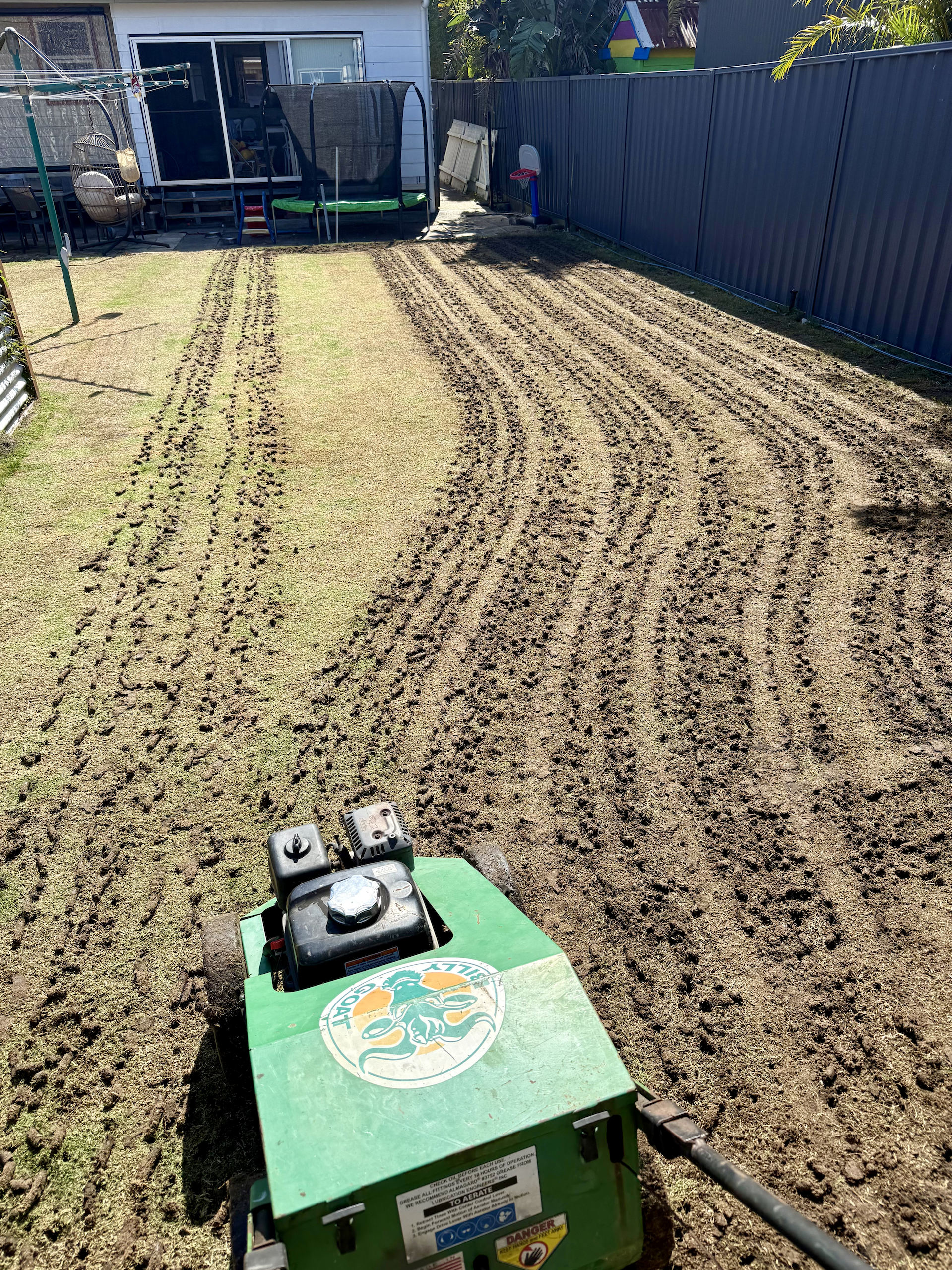 Green Lawn Next to a Brick Sidewalk, Bordered by Colourful Flowering Bushes — Mow & Mulch Lawn & Garden Maintenance In Medowie, NSW