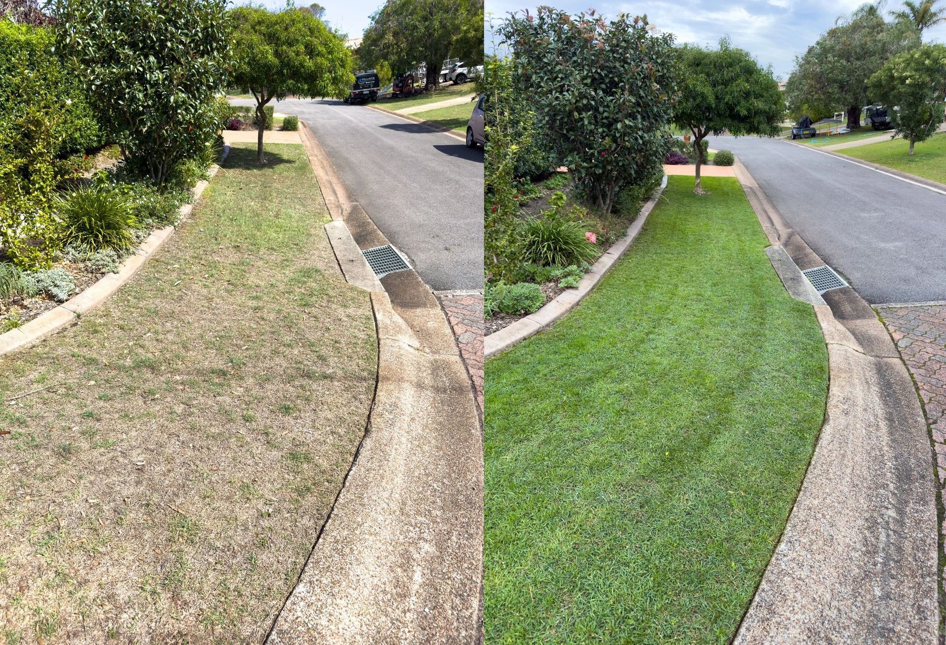 Comparison of a brown, dead lawn (left) and a green, healthy lawn (right) bordering a street — Mow & Mulch Lawn & Garden Maintenance In Soldiers Point, NSW