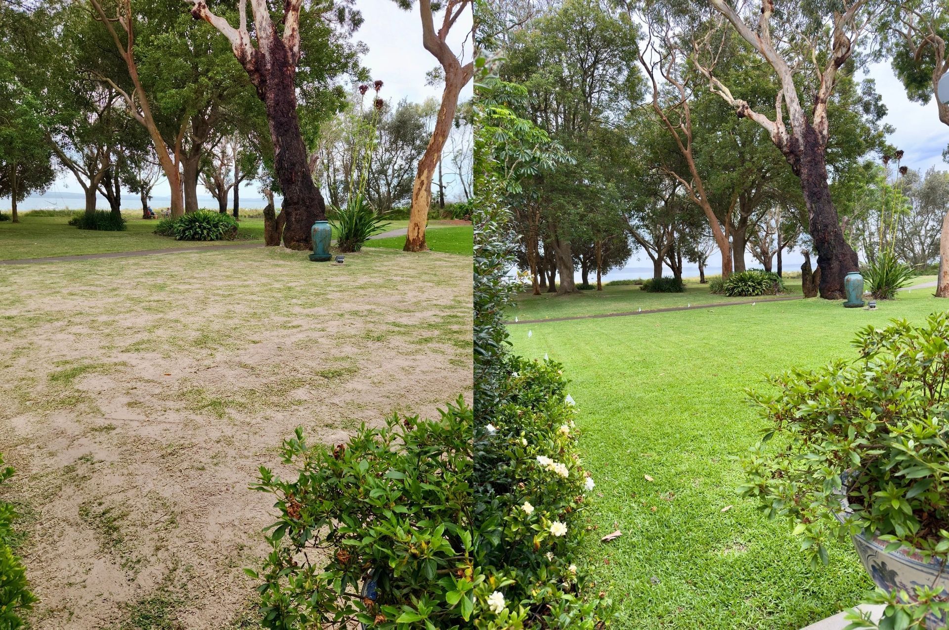 Comparison of a brown, sparse lawn on the left and a lush, green lawn on the right — Mow & Mulch Lawn & Garden Maintenance In Soldiers Point, NSW