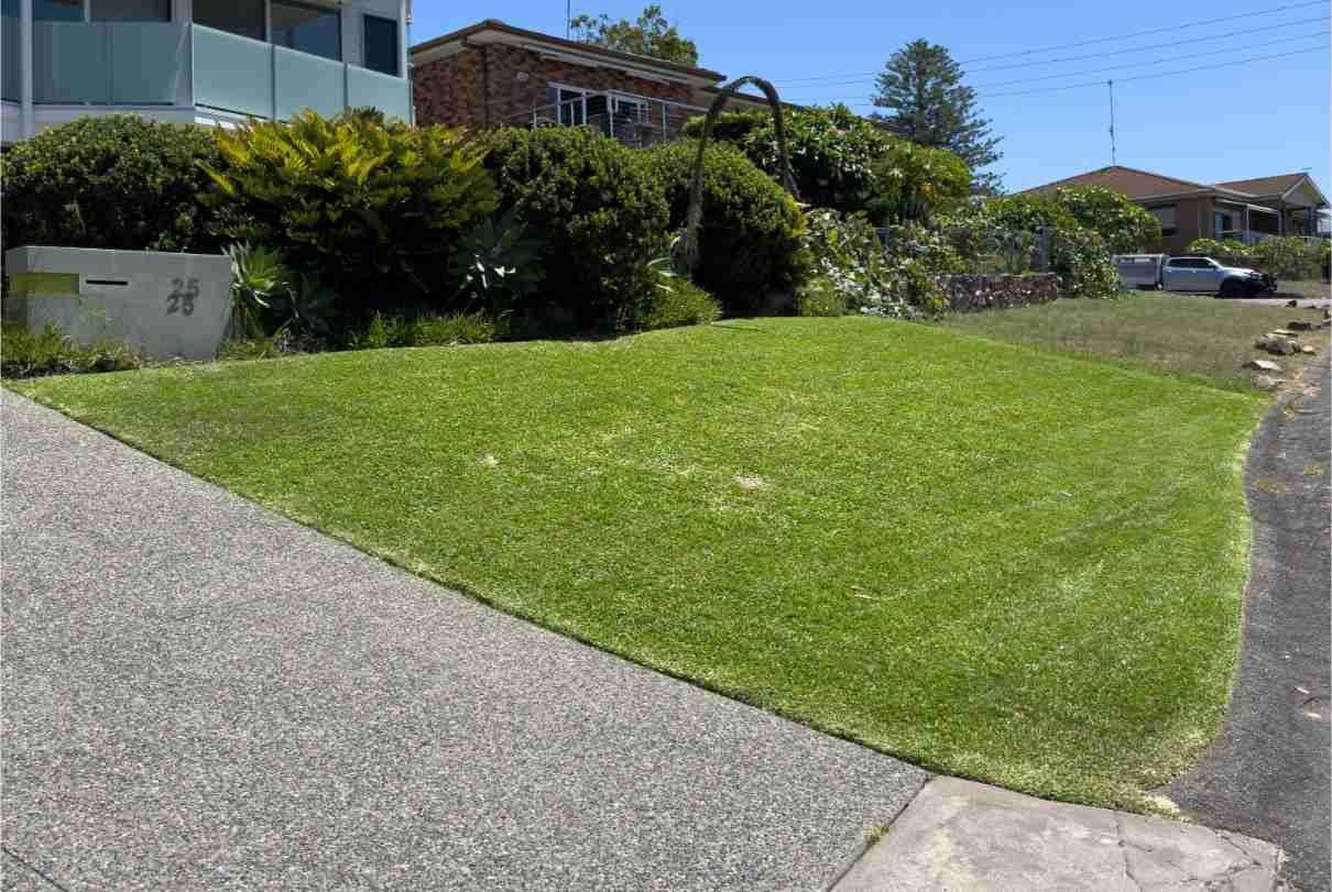 Green lawn next to a paved driveway and a house, under a blue sky — Mow & Mulch Lawn & Garden Maintenance In Medowie, NSW