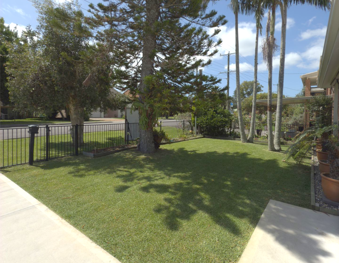 Lush green lawn with tall trees and blue sky. Sidewalk in the foreground — Mow & Mulch Lawn & Garden Maintenance In Medowie, NSW