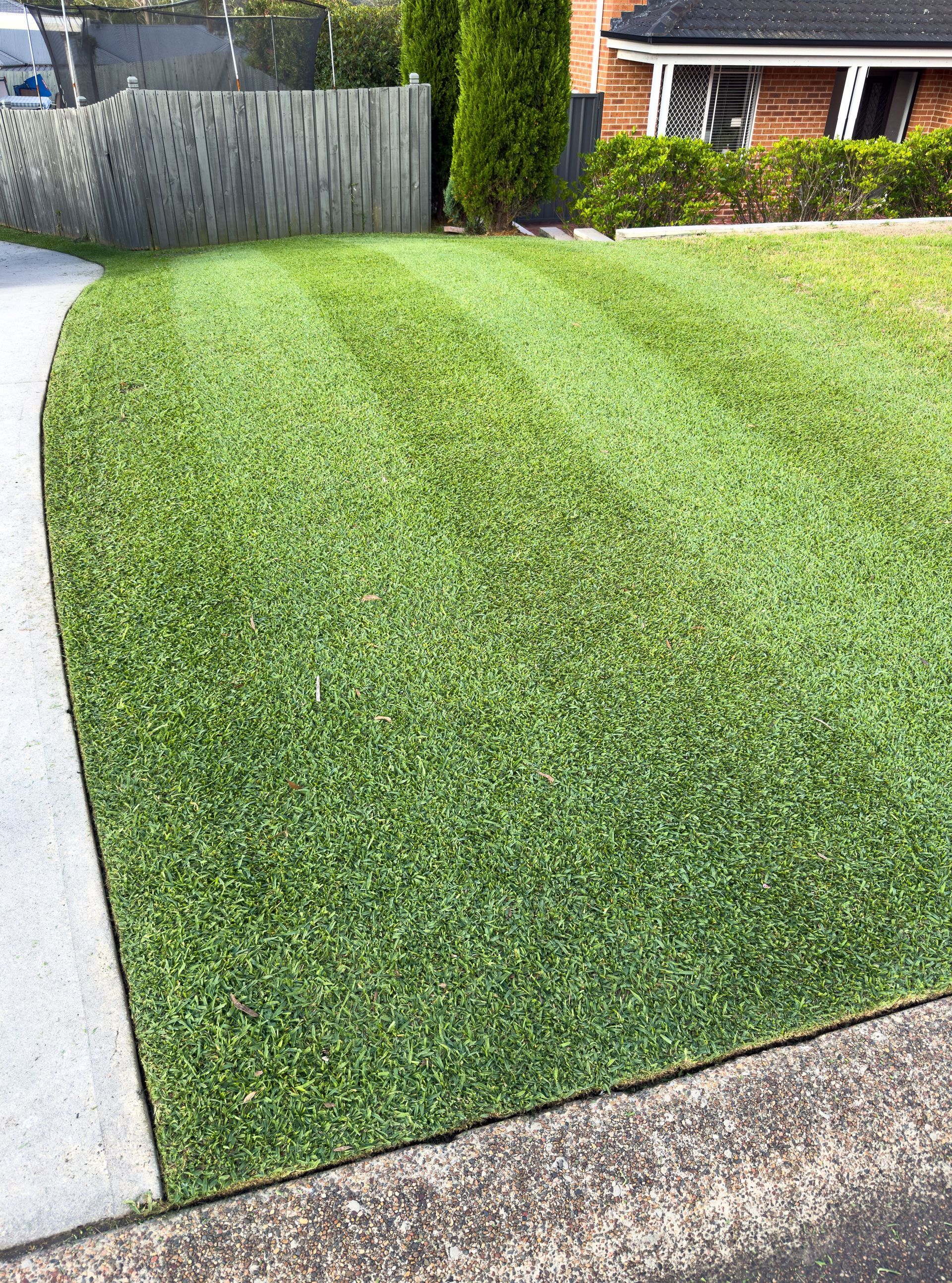 Well-manicured green lawn with lawn stripes next to a gray driveway — Mow & Mulch Lawn & Garden Maintenance In Medowie, NSW