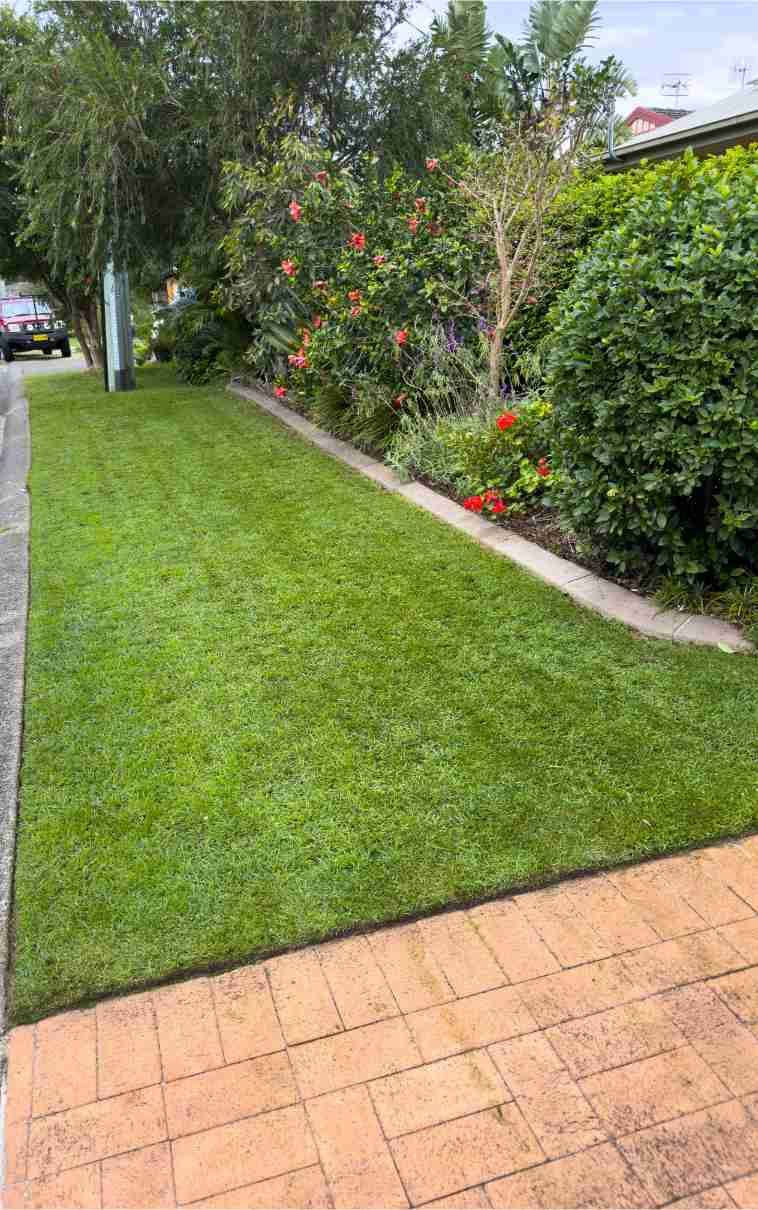Lush Green Lawn Next to a Brick Path, Bordered by a Garden With Red Flowers and Trees in a Residential Area — Mow & Mulch Lawn & Garden Maintenance In Soldiers Point, NSW
