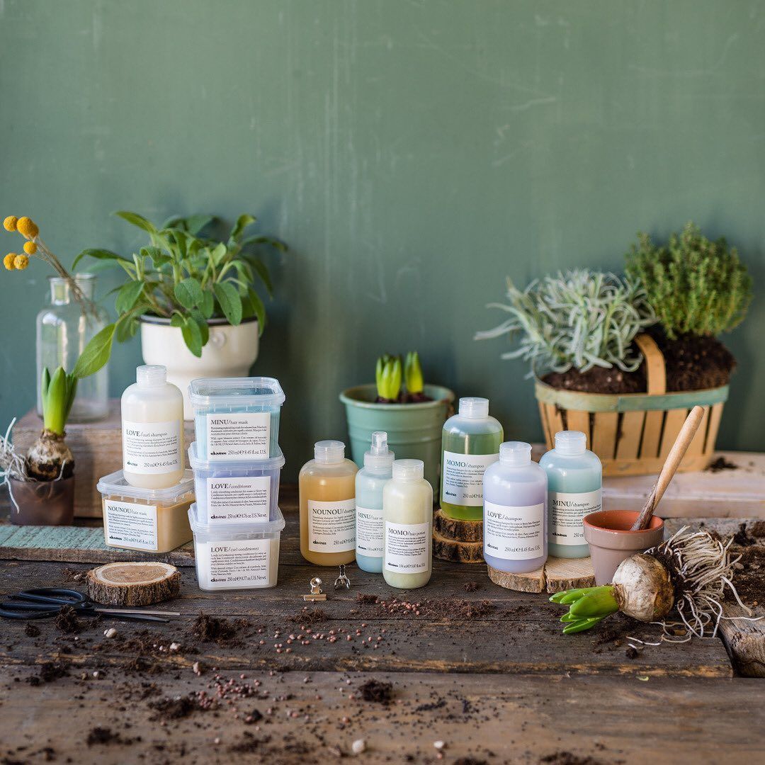 Ein Holztisch mit Flaschen und Topfpflanzen darauf.