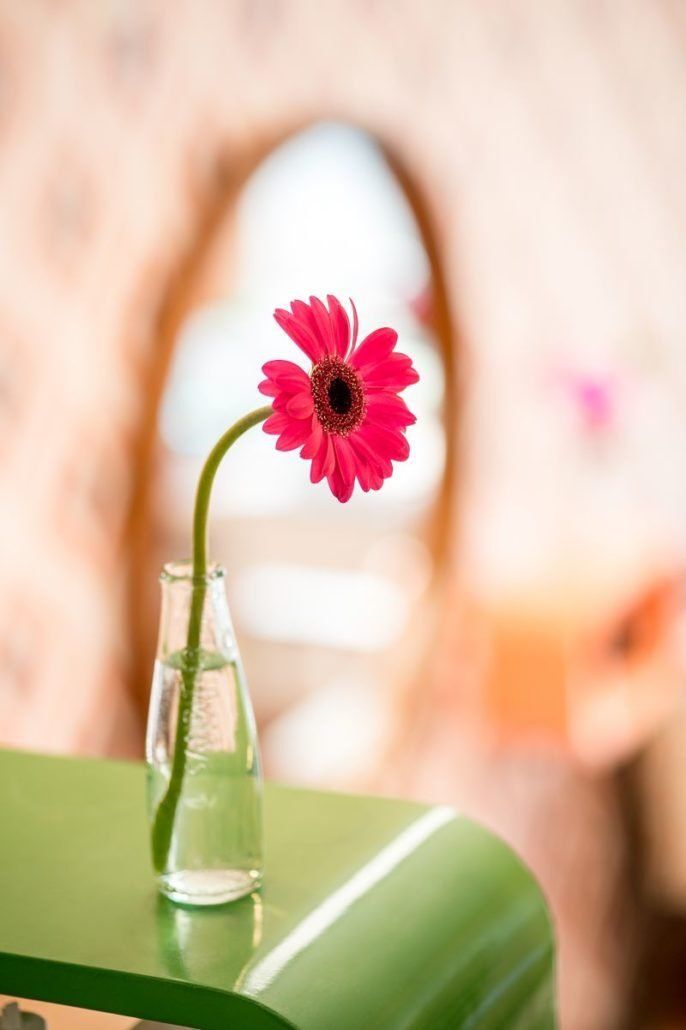 Eine rosa Blume in einer Vase auf einem grünen Tisch