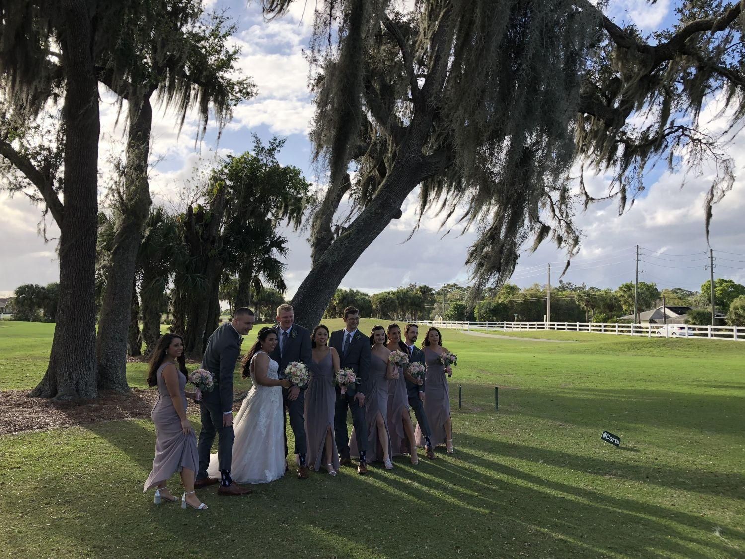 Wedding party posing outdoors under a tree on a green lawn. Bridesmaids wear mauve dresses, groomsmen suits.