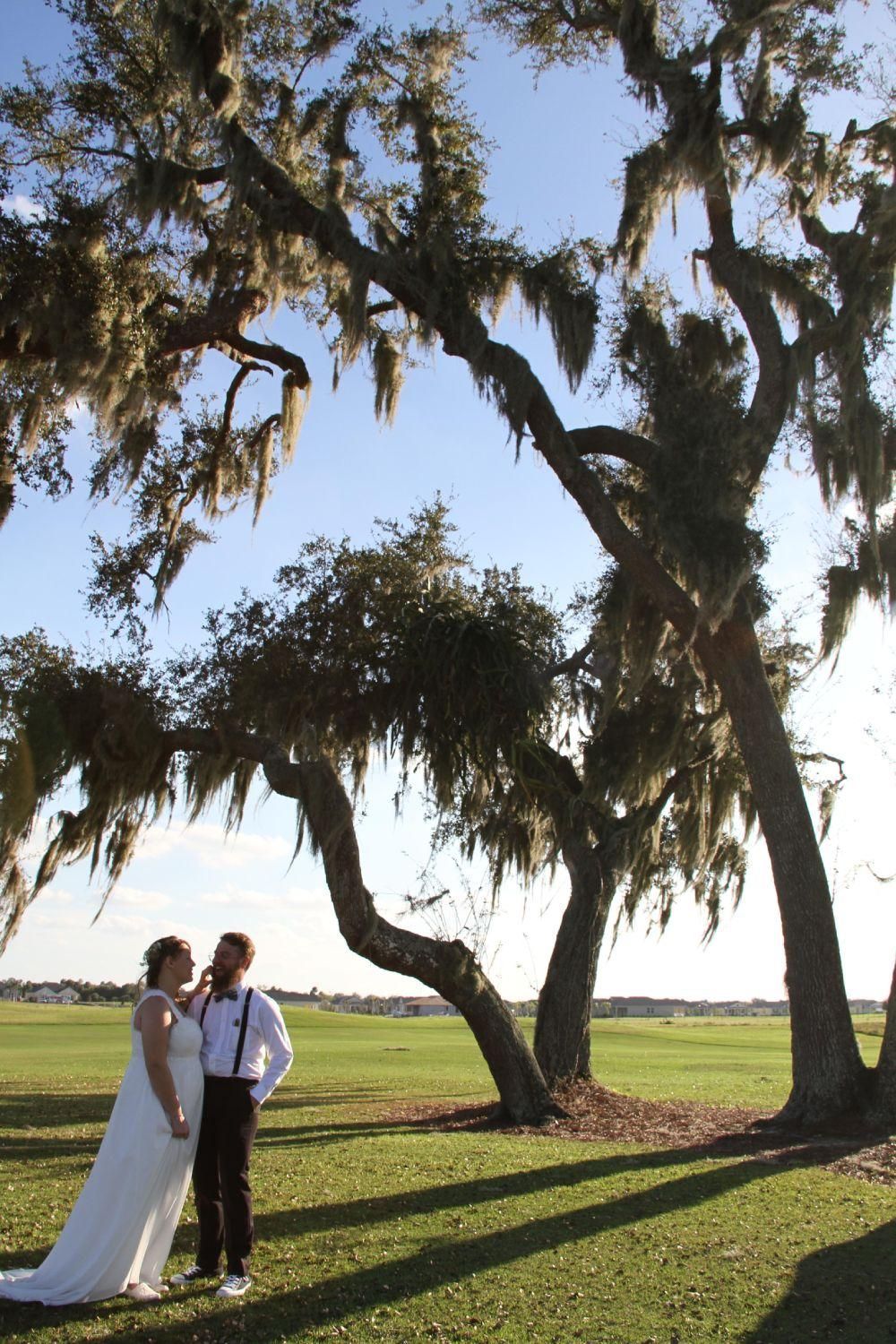 Couple stands under a large tree with Spanish moss, green field in the background, sunny day.