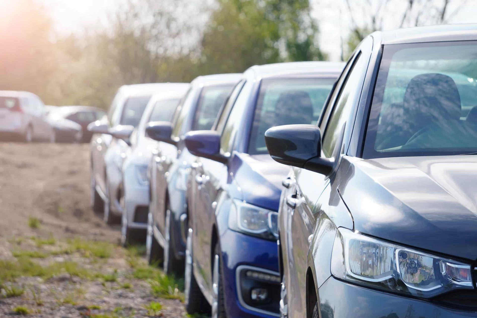 A Row of Cars Are Parked in a Field — Dave's Used Cars In Stuart, NT
