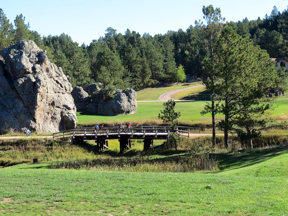 A bridge over a river in the middle of a field