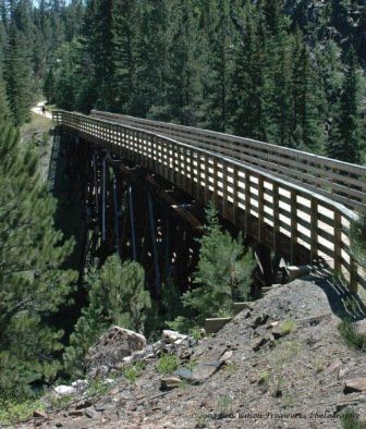 A wooden bridge in the middle of a forest