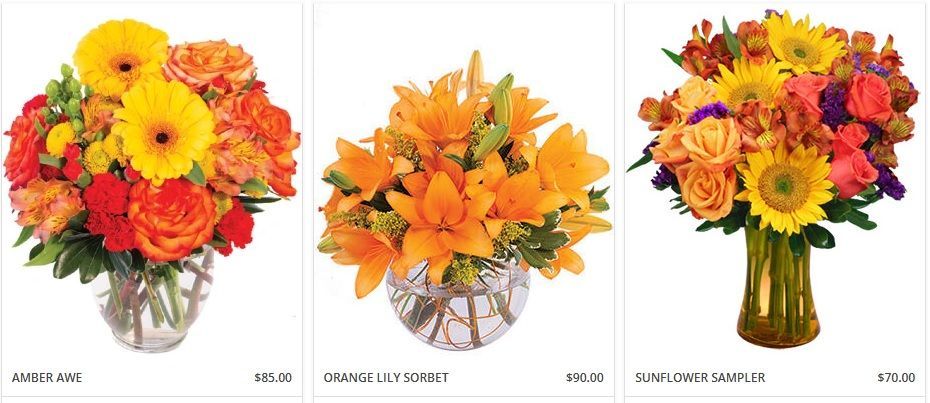 Image of groomed dog by Happy Jos Bows Hot Springs SD