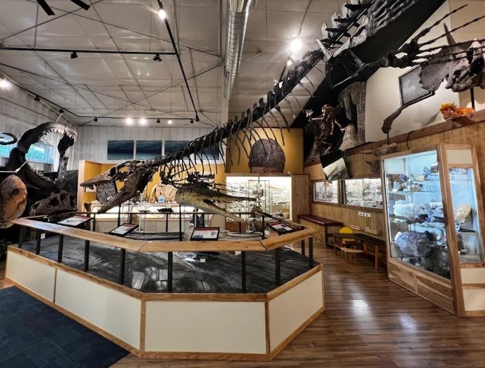 Interior of World Fossile Finder Museum