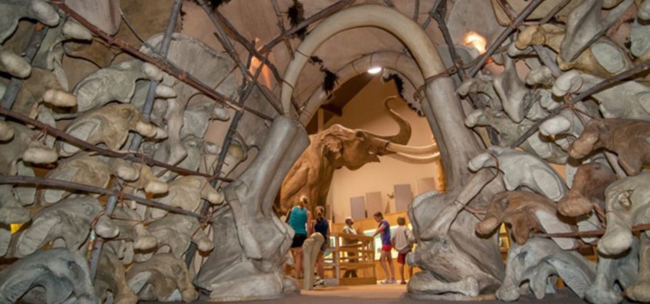 Image of Mamoth Site museum