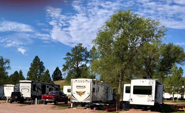 A row of rvs parked in a campground with trees in the background