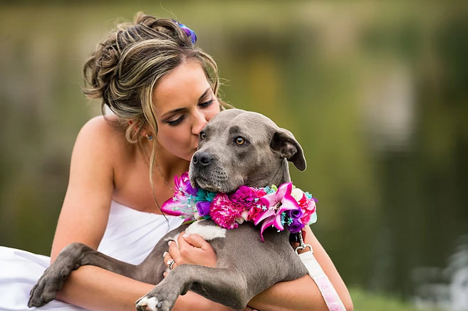 A woman in a wedding dress is kissing a dog wearing a flower collar.