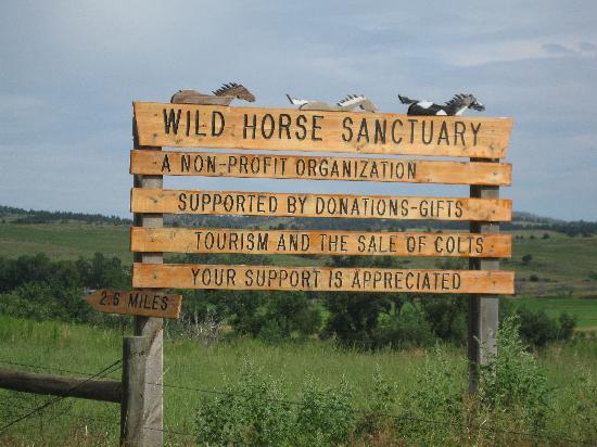 A wooden sign for the wild horse sanctuary