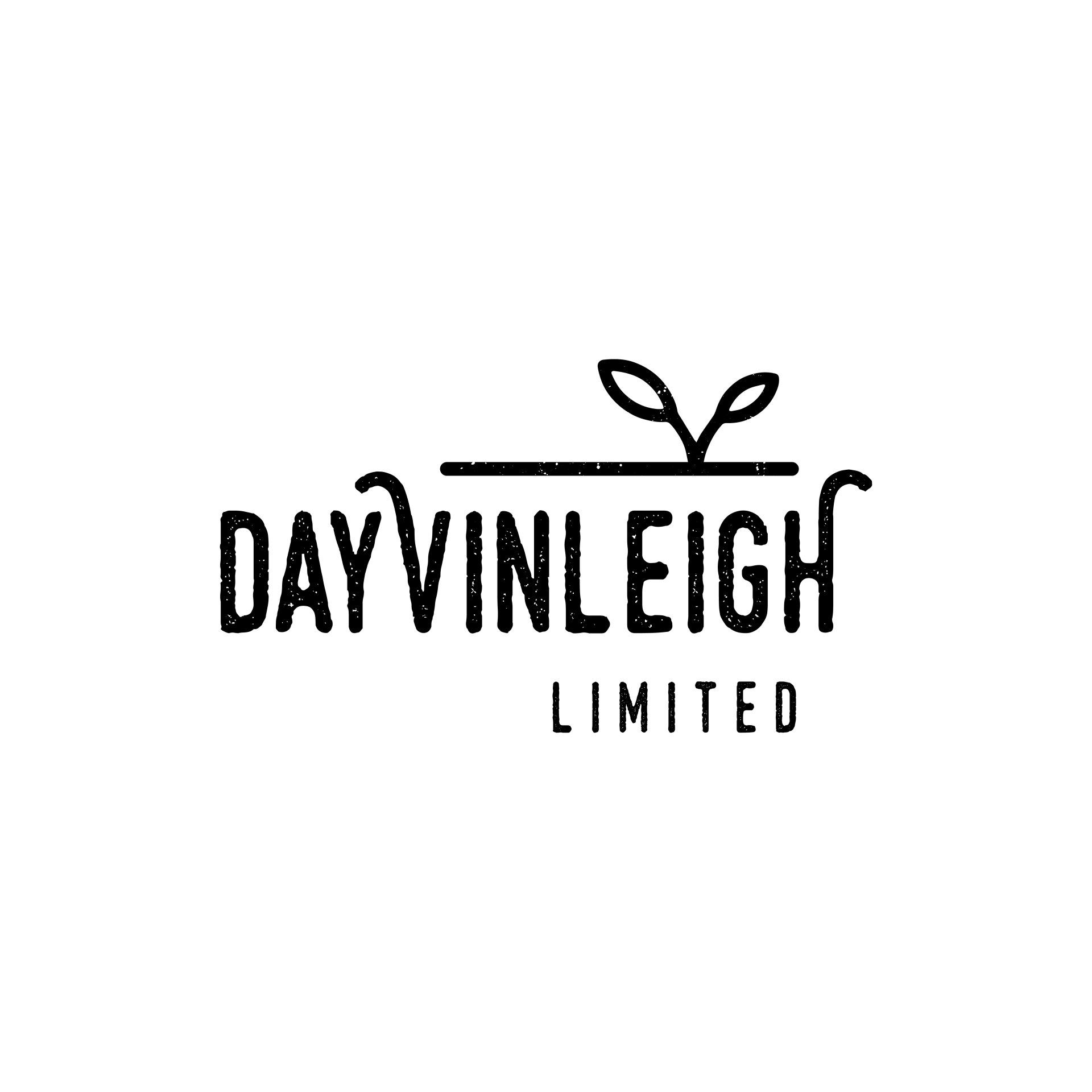 Dayvinleigh limited logo designed by Vanilla Hayes