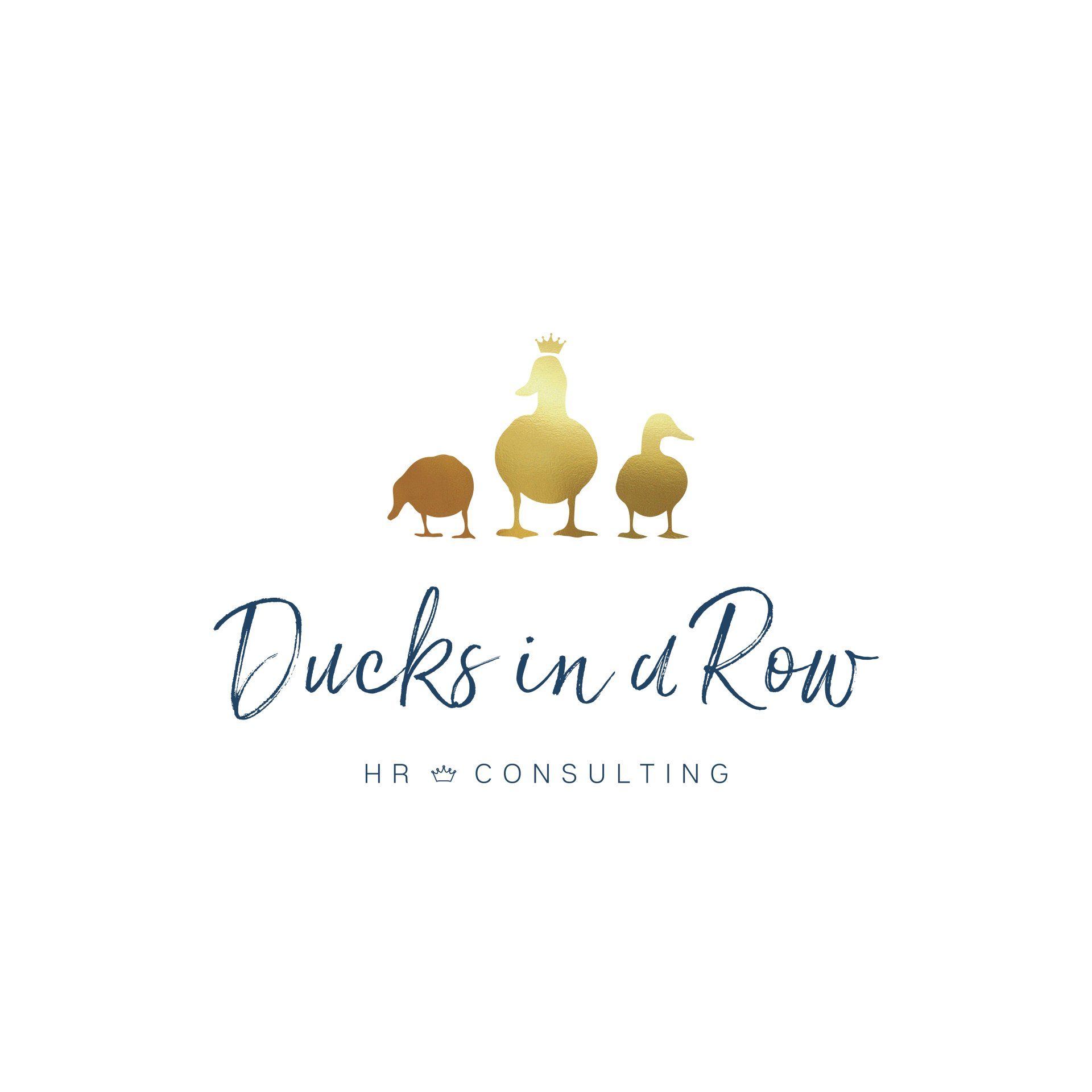 Ducks in a Row logo designed by Vanilla Hayes