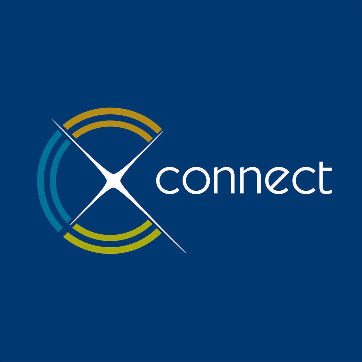 Connect logo designed By Vanilla Hayes