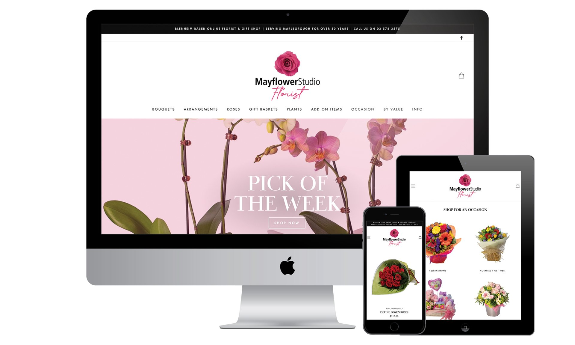 Mayflower Studio website designed by Vanilla Hayes creative graphic design  studio in Blenheim, Marlborough, New Zealand