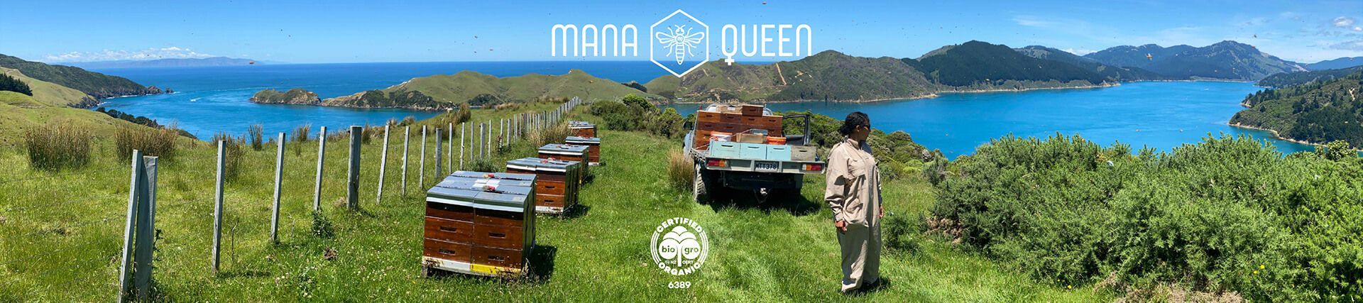 Mana Queen branding by Vanilla Hayes Ltd in Blenheim, New Zealand