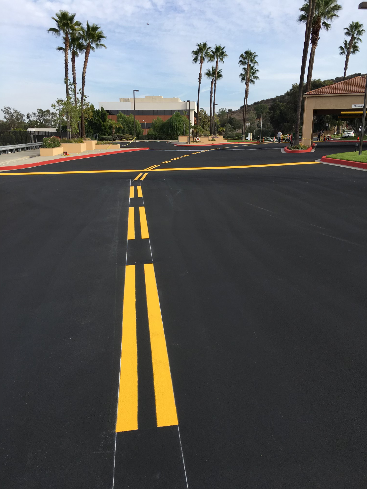 A parking lot with palm trees on the side of the road