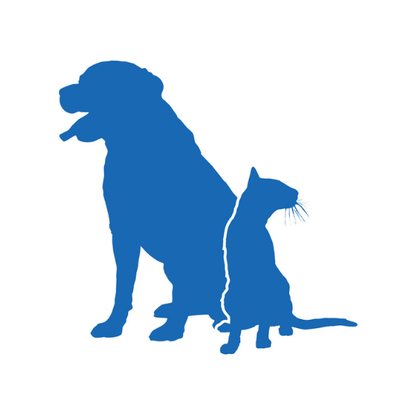 Pasadena Pets Veterinary Hospital | Happy Pets Happy Owners