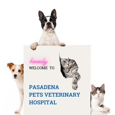 Pasadena Pets Veterinary Hospital | Happy Pets Happy Owners