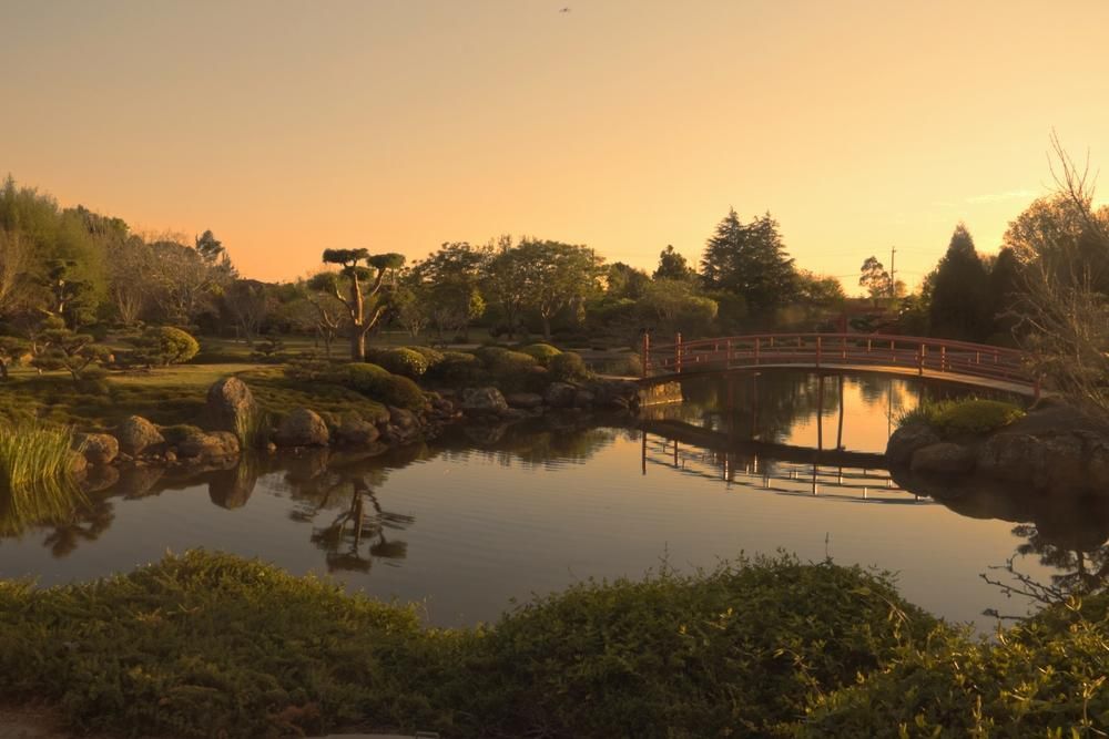 A Bridge Over A Pond In A Park At Sunset — Top Point Café In East Gosford, NSW