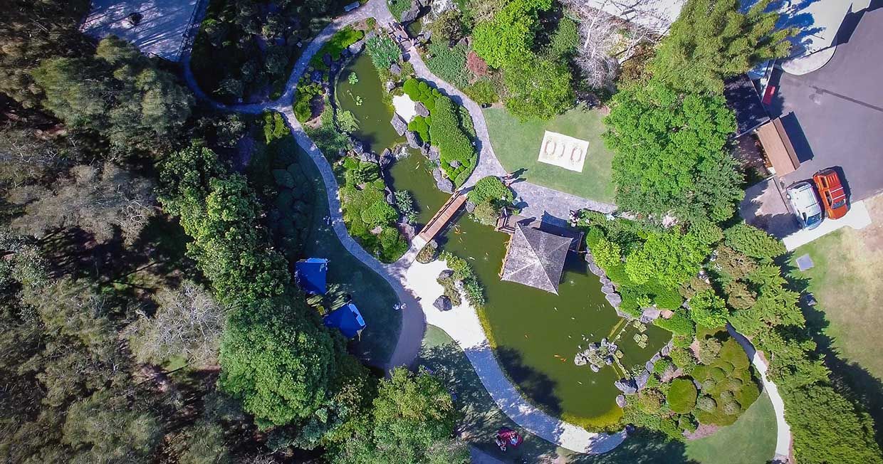 An Aerial View Of A Park With A Pond And Trees — Top Point Café In East Gosford, NSW