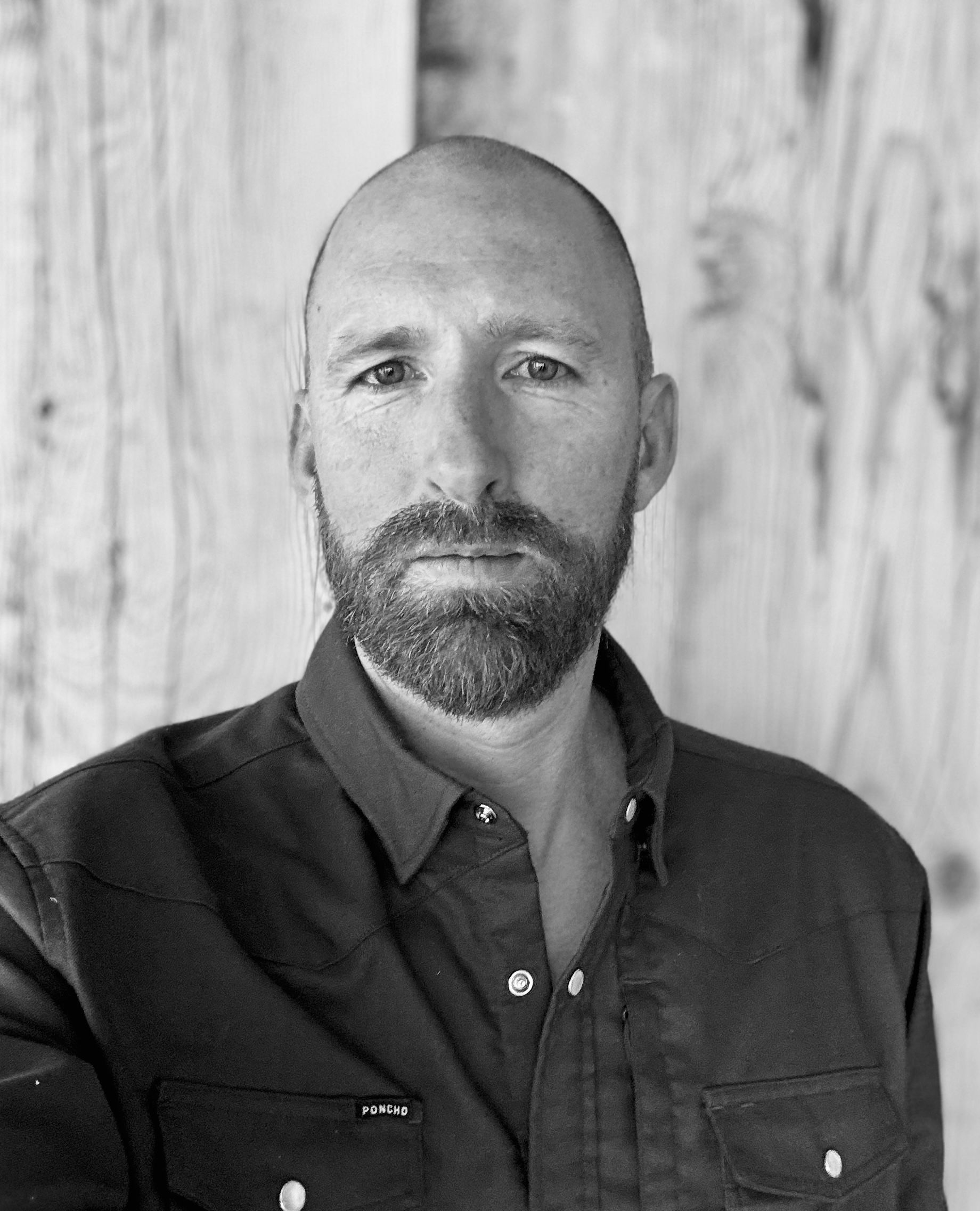 a group of basketball players including number 41