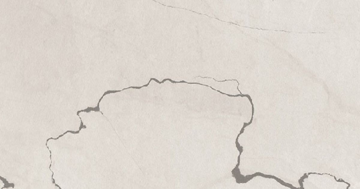 Fossil Surface Countertop Options