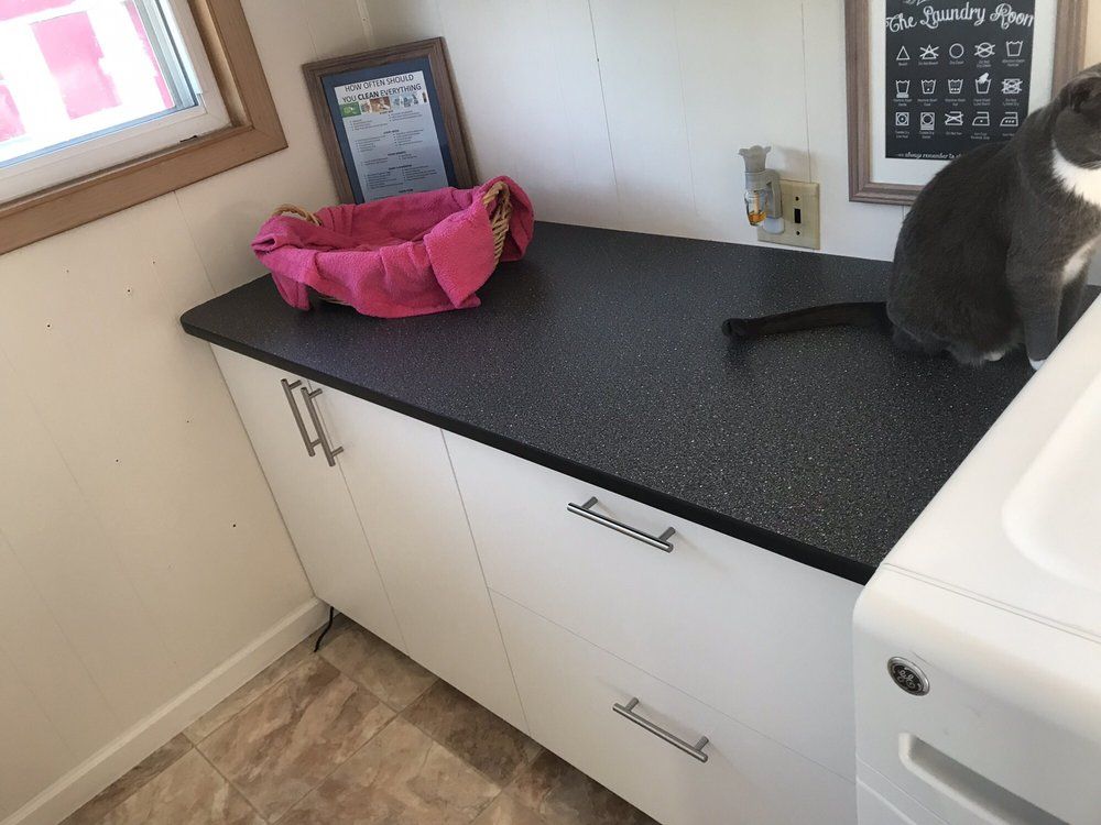 A cat is sitting on a counter in a laundry room