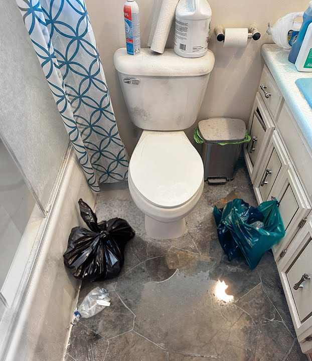 A bathroom with a toilet a sink and a shower curtain