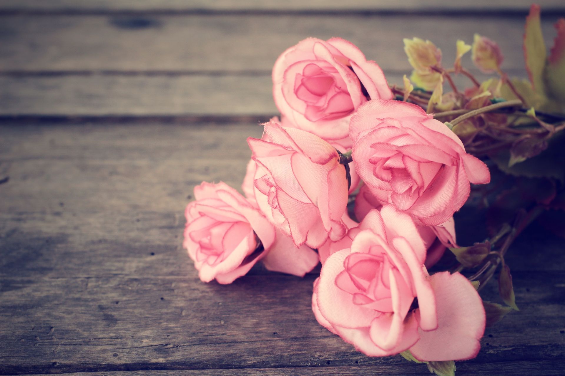 rappresentazione servizio di allestimento della camera ardente