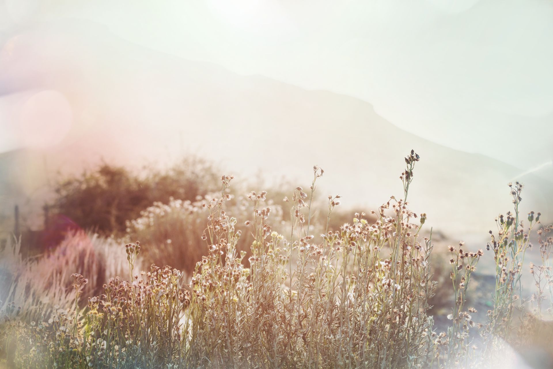 rappresentazione assistenza in caso di decesso