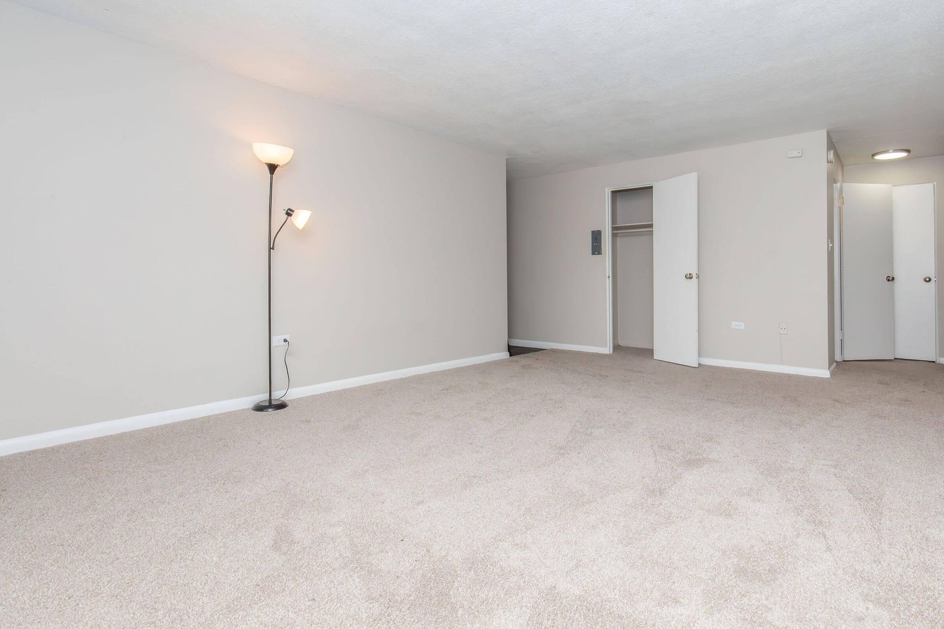 Empty room with beige carpet, light gray walls, closet, and floor lamp.