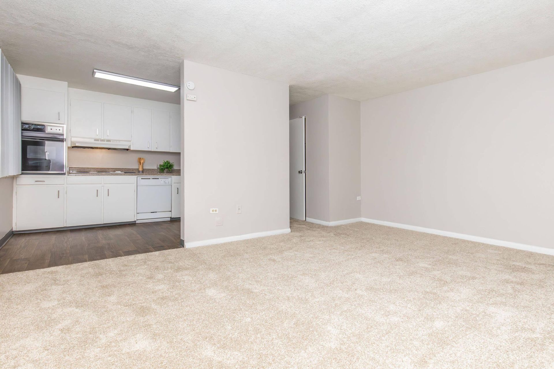 Open-plan living space with kitchen. Beige carpet, light gray walls, white cabinets, and a doorway.
