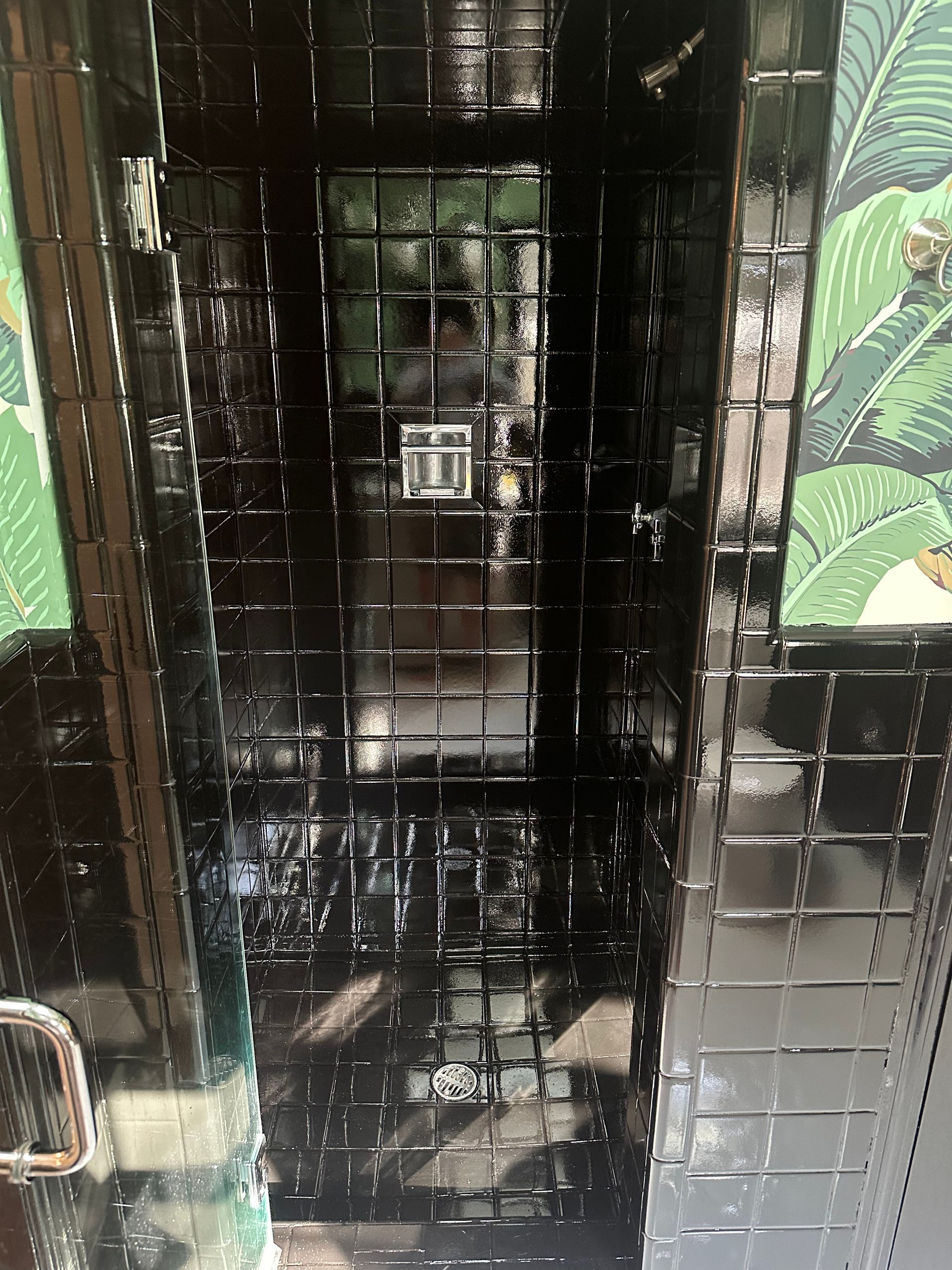 A black cage with a green leaf pattern on the wall.