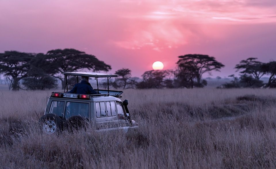 tour in Africa per viaggi di nozze a Torino