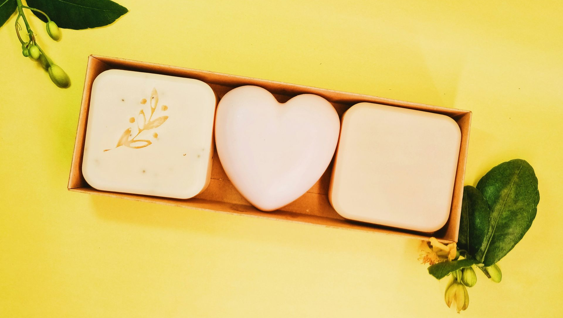 Three bars of soap in a box on a yellow surface, with leaf sprigs.