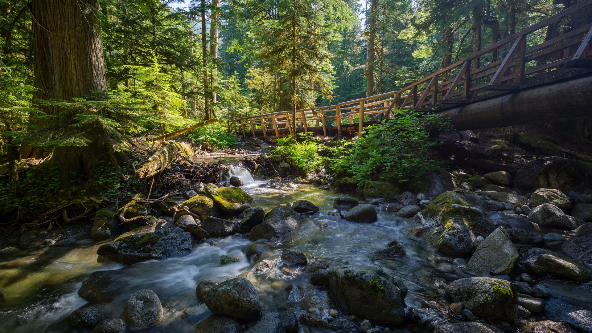 Forest stream with sunlight, mossy rocks, and a wooden footbridge crossing above the water