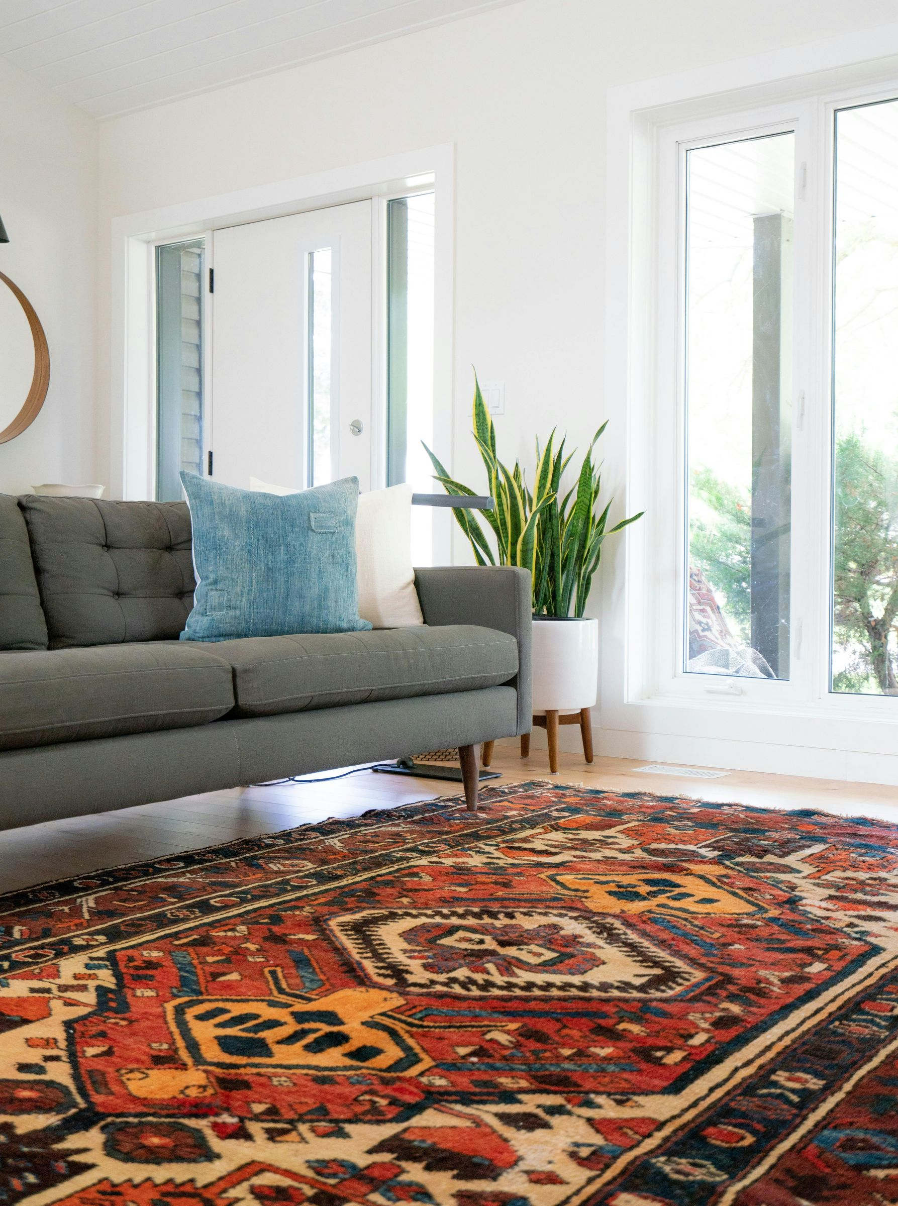 Living room with gray sofa, patterned rug, large windows, and a snake plant.