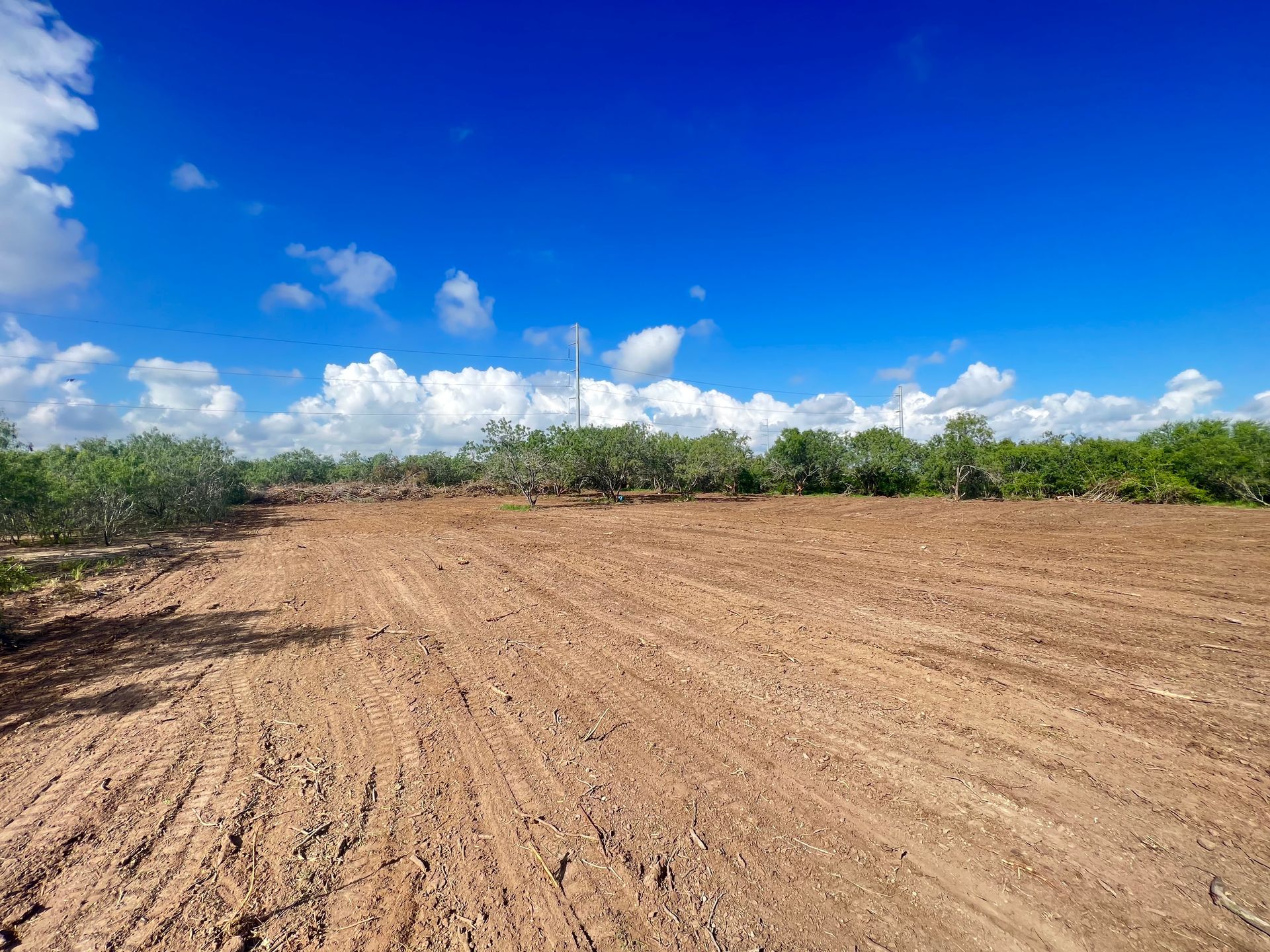 Large acreage brush removal near Harlingen, TX.